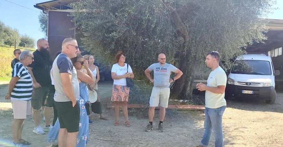 Seggiano: Typical Tuscan Farm Tour with Olive Oil Tasting - Arriving at the Olio Abbraccio farm