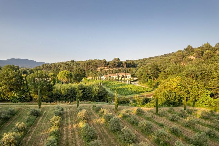 Self tour of the olive oil mill & olive oil tasting - Adding The Olive Grove Walk