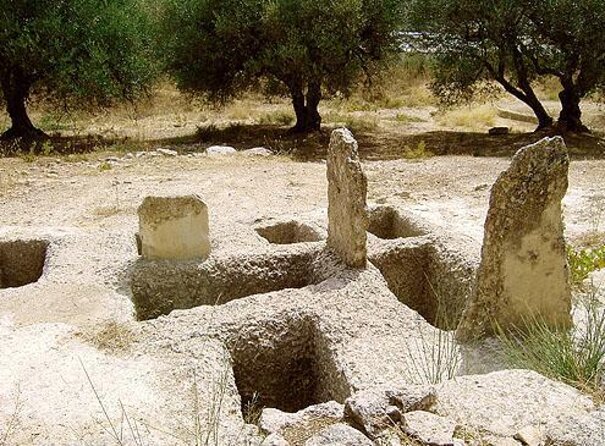 Semi Private Wine and Olive Oil tour (Transfer & Lunch Incl.) - Quick takeaways from the Cretan countryside
