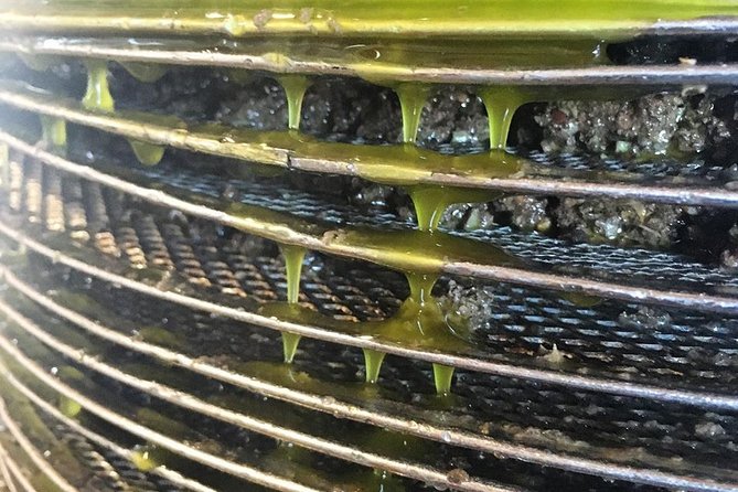 Semi Private Wine and Olive Oil tour (Transfer & Lunch Incl.) - Who should book this experience?