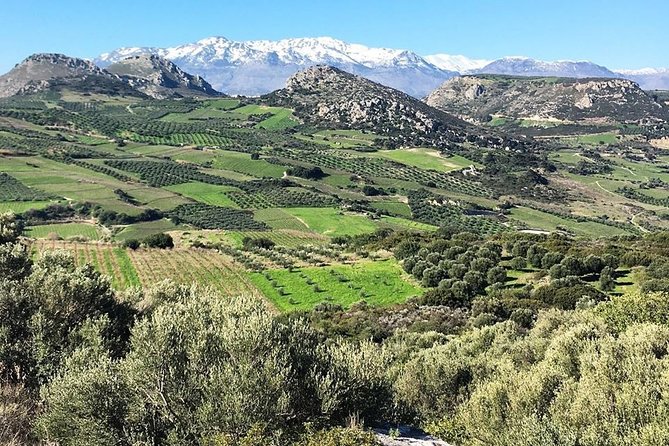 Semi Private Wine and Olive Oil tour (Transfer & Lunch Incl.) - Should you book the Heraklion wine and olive oil tour?