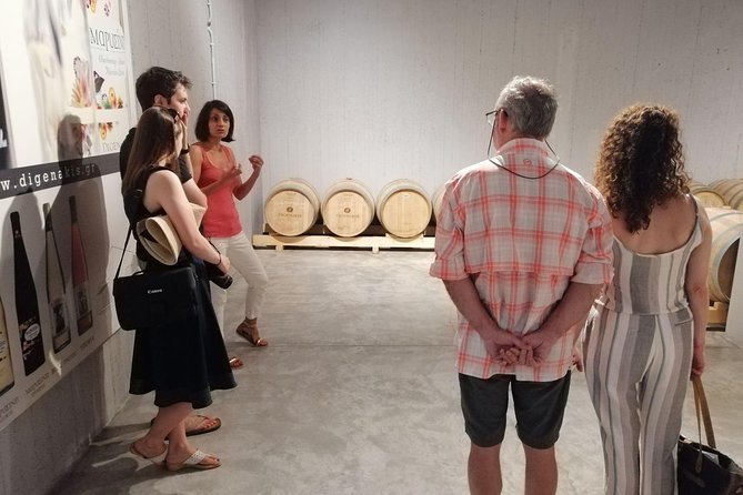 Semi Private Wine, Olive Oil, and Terroir Tour of Heraklion area with Tastings - Five Cretan wines at Digenakis Winery