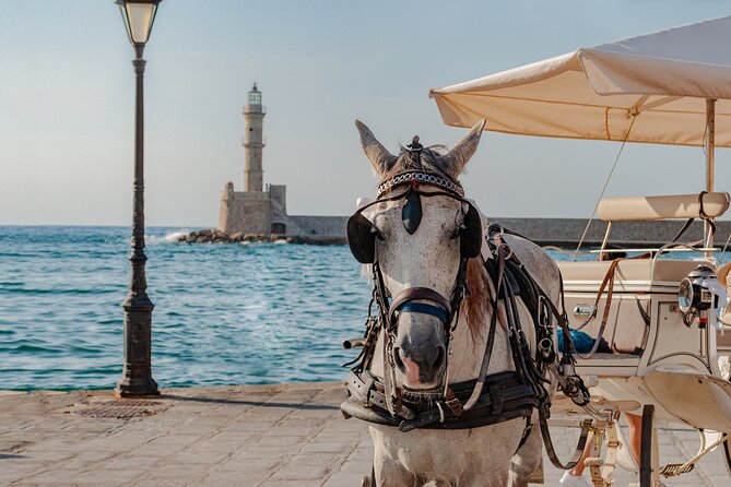 Shore Escape: Chania, Monastery & Olive Oil Tasting - Key points at a glance