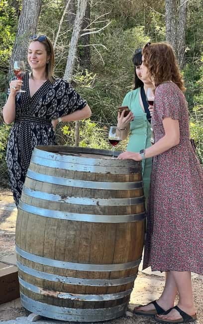 Small group- Exclusive Olive Oil & Wine Tour Mallorca - Useful planning advice before you go