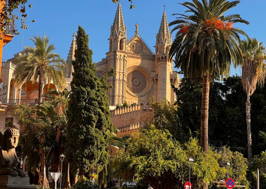 Small group- Exclusive Olive Oil & Wine Tour Mallorca - Two hours at an authentic Mallorcan bodega