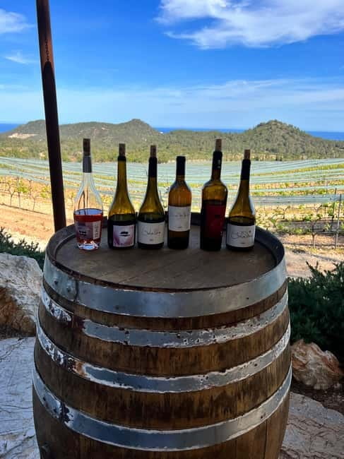 Small group- Exclusive Olive Oil & Wine Tour Mallorca - What the guide adds to the day