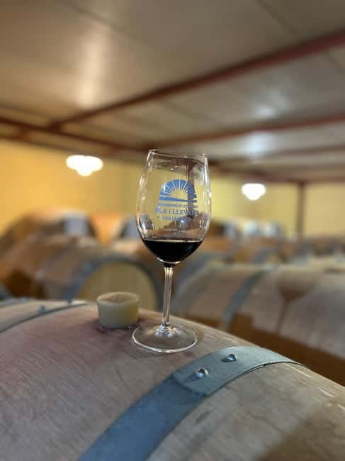 Small group- Exclusive Olive Oil & Wine Tour Mallorca - Is $194 per person good value?