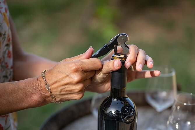 Small-Group Half-Day Languedoc Wine and Olive Tour from Montpellier - Why the small group changes the mood