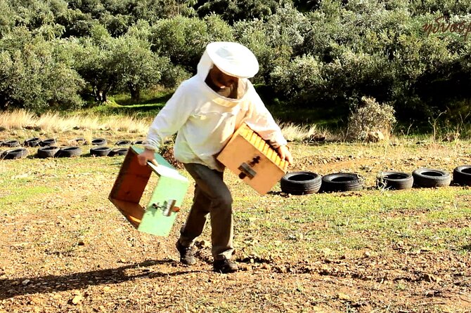 Small-Group Honey & Extra Virgin Olive Oil Tasting Tour in Crete - Key points before you book