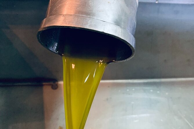 Small-Group Honey & Extra Virgin Olive Oil Tasting Tour in Crete - Seeing how olive oil goes from fruit to bottle