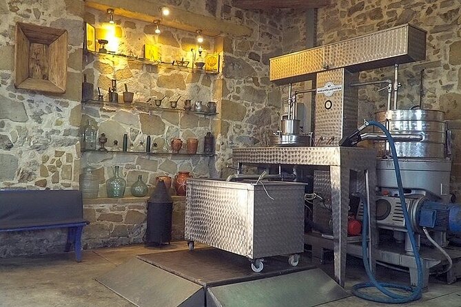 Small-Group Honey & Extra Virgin Olive Oil Tasting Tour in Crete - Who should book this Crete food experience?