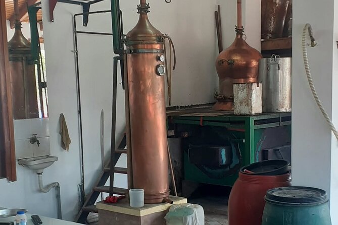 Small Group: Knossos, Olive Oil, Winery & Raki with Lunch - Why this Crete day trip works so well
