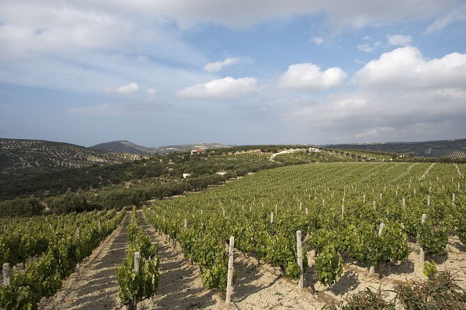 Small Group: Knossos, Olive Oil, Winery & Raki with Lunch - Two hours among the stones of Knossos