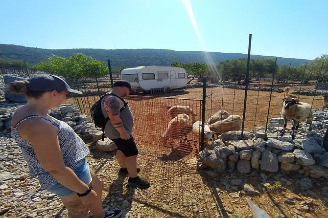 Small-Group Olive Oil Tour in Cres with Tasting - Who will enjoy this experience most?