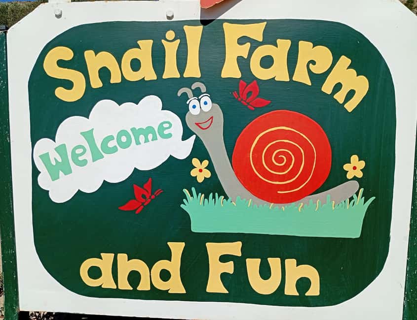 Snail and olive farm tour with table olives & homemade sweet - A small farm near Heraklion with a real local feel