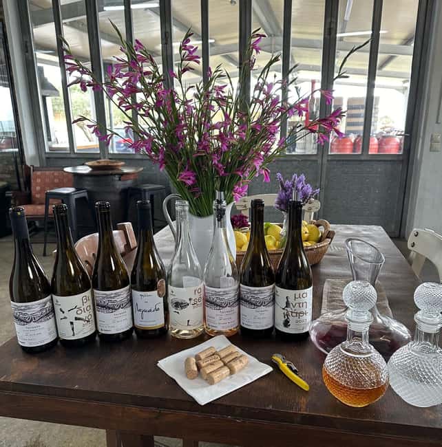 Soap, Wine, Raki, Olive Oil, Meet the local Producers Tour - The olive grove and mill from 11:30 to 12:30