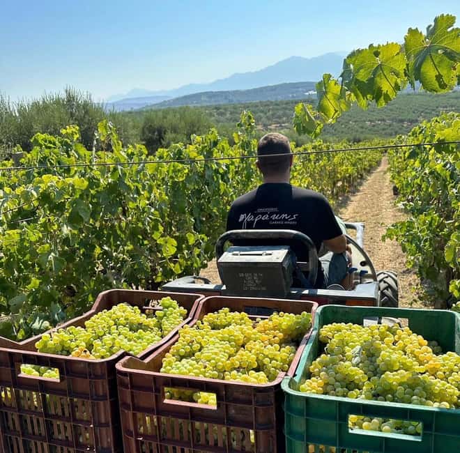 Soap, Wine, Raki, Olive Oil, Meet the local Producers Tour - The soap workshop from 10:00 to 11:15