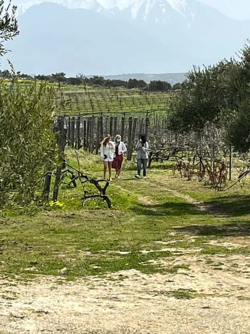 Soap Workshop, Olive Oil, Lyrarakis Winery and Lunch at Peza - Should you book this experience?