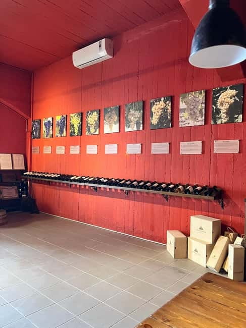Soap Workshop, Olive Oil, Lyrarakis Winery and Lunch at Peza - Is $212 per person fair value?