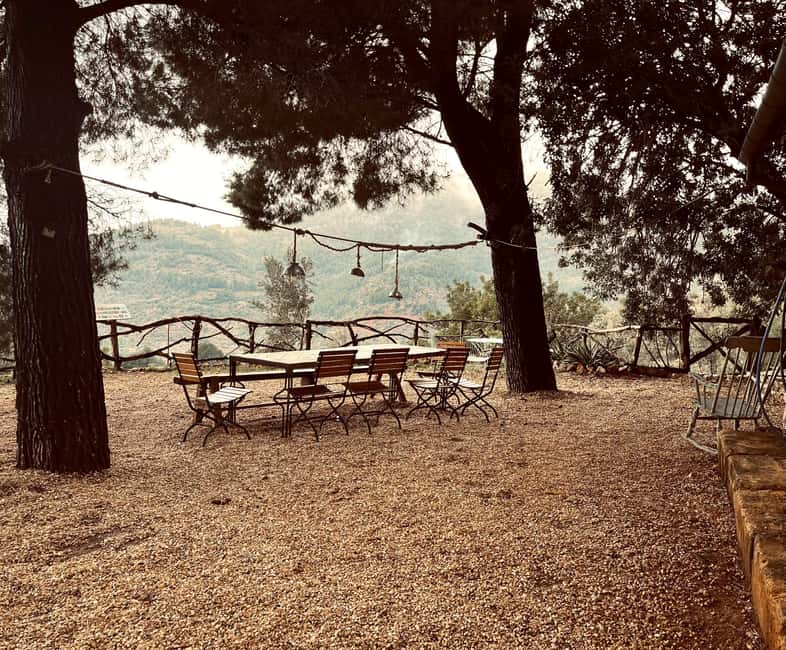 SOLLER: Olive Grove Experience, Oil Tasting & Picnic in the Tramuntana - Who will enjoy this two-hour experience