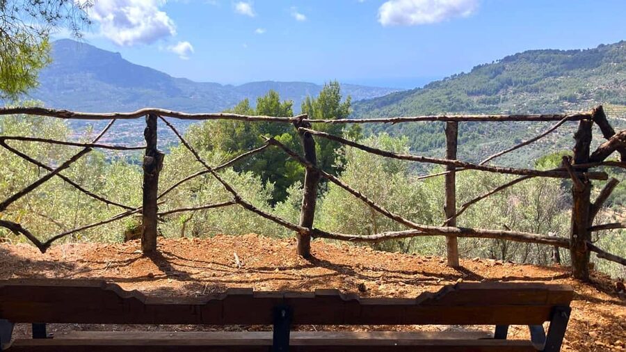 SOLLER: Olive Grove Experience, Oil Tasting & Picnic in the Tramuntana - What the $29 price really includes