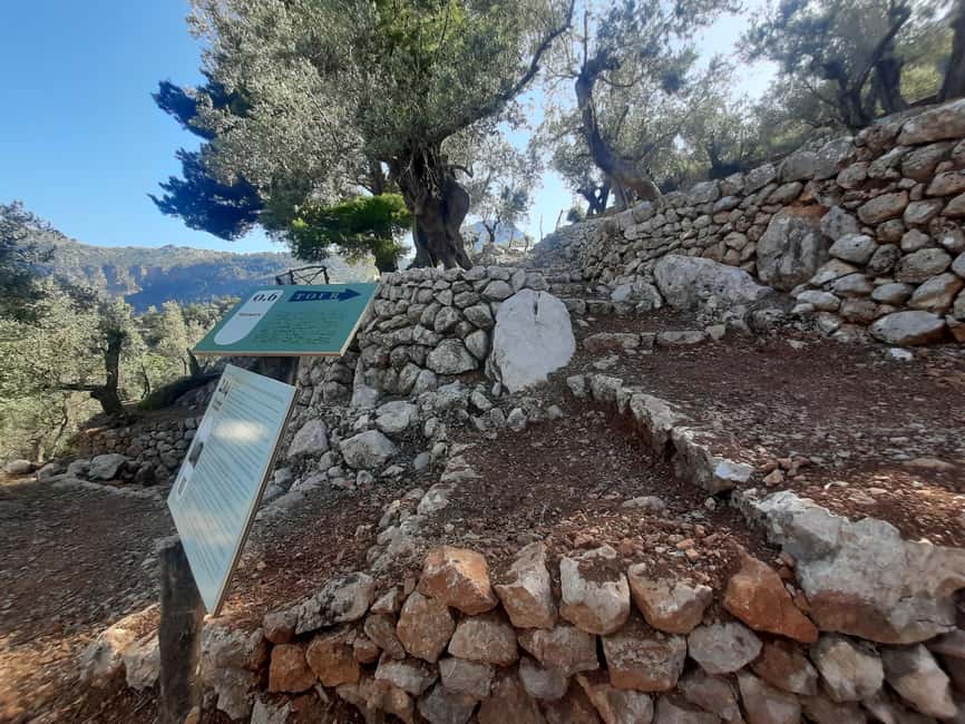 SOLLER: Olive Grove Experience, Oil Tasting & Picnic in the Tramuntana - Reaching the black barrier at the farm entrance