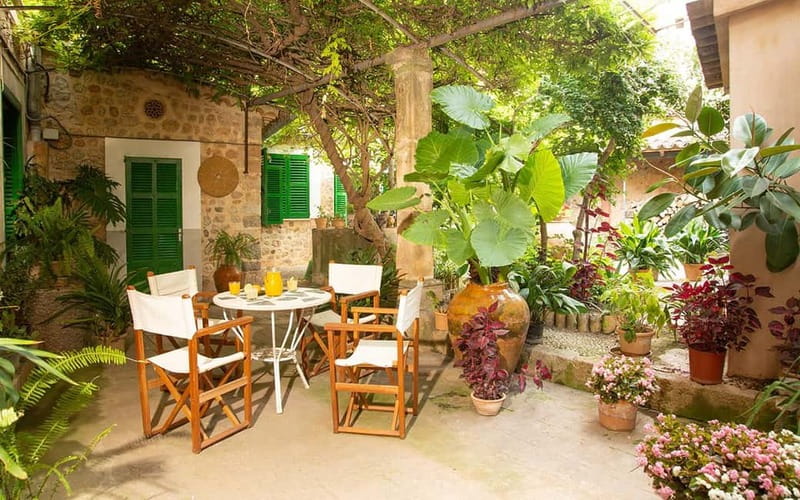Sóller: Olive Oil Guided Tour and Tasting at Can Det Estate - Ancient olives and the work behind the oil