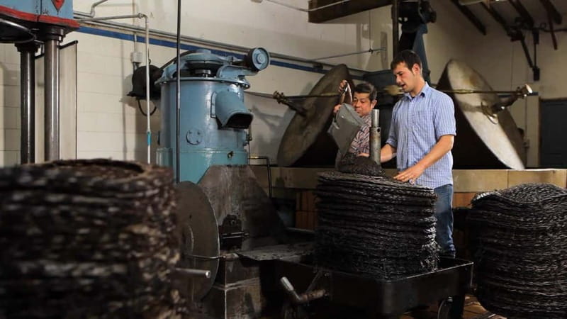 Sóller: Olive Oil Guided Tour and Tasting at Can Det Estate - The Mallorcan brunch and oil tasting