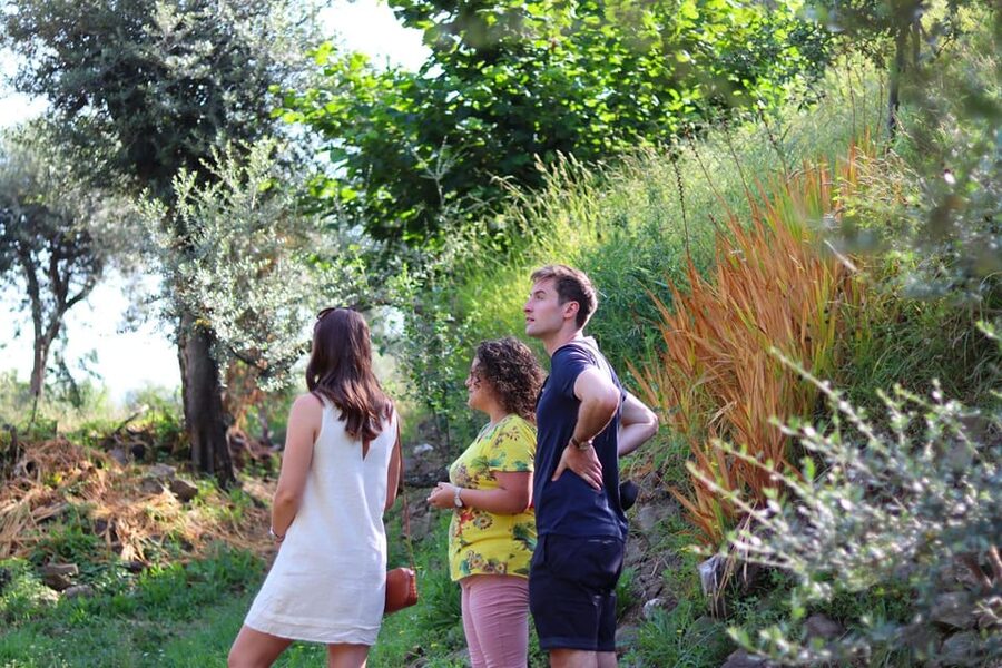 Sorrento: Guided Olive Mill Visit with Tastings - Honey, glaze, and marmalade add local flavor