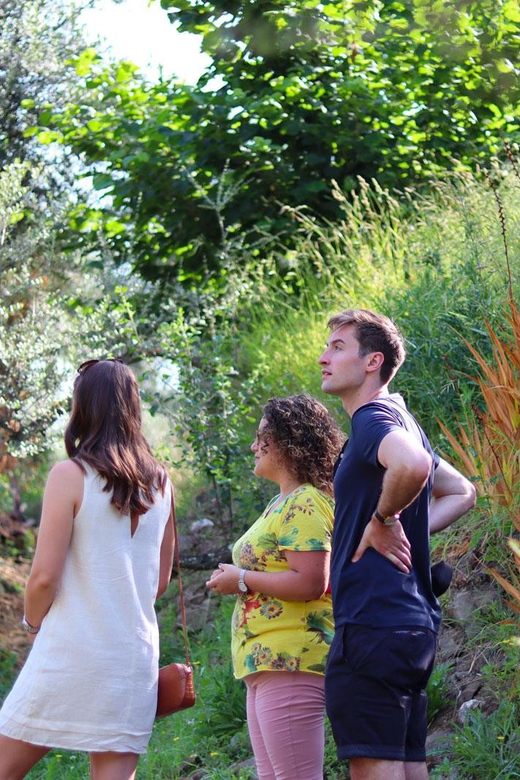 Sorrento: Guided Olive Mill Visit with Tastings - How the guides affect the experience