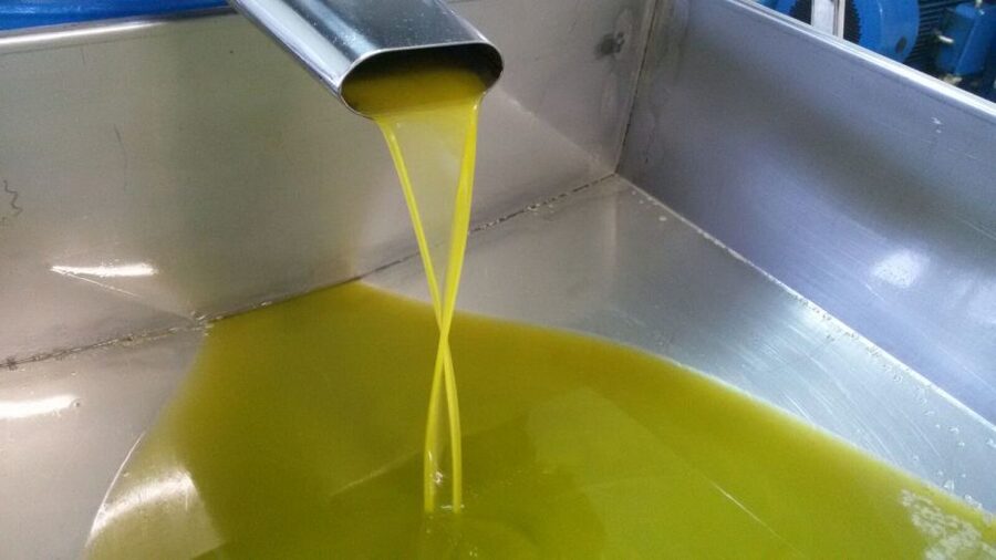 Sorrento: Lemon, Olive Oil and Wine Tasting Tour with Lunch - Key points to know before booking