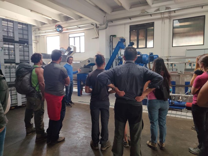 Sortino: Olive Oil tasting with Sicilian Products and Wine - Seeing Olive Harvest Through Virtual Reality