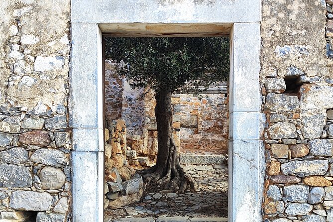 Spinalonga, Plaka, Elounda, Agios Nikolaos & Olive Mill | Private - Starting at Vassilakis Estate