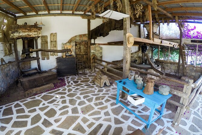 Spiridi Olive Oil Farm Tour - Workshops That Go Beyond the Basic Ticket