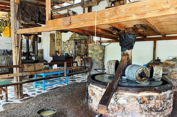 Spiridi Olive Oil Farm Tour - The Price, Timing, and Walk From Town