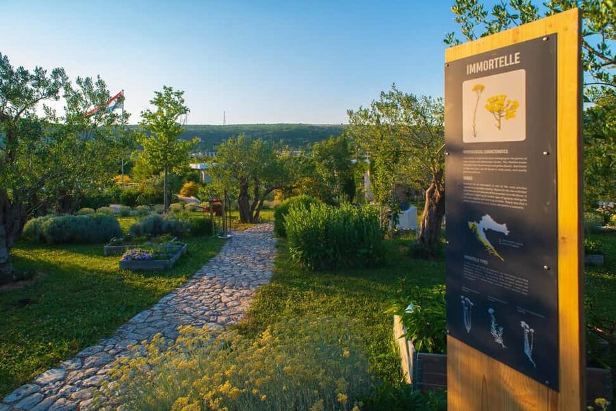 Split: Olive museum Klis with Olive Oil Tasting - Key points to know before you go