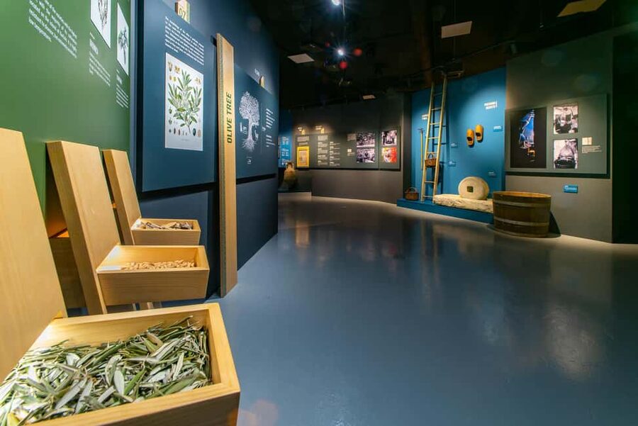 Split: Olive museum Klis with Olive Oil Tasting - Walking through the 500-species botanical collection