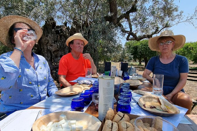 SYSTASIS Olive Oil Tasting Experience in Ermioni Greece - Key points before you book