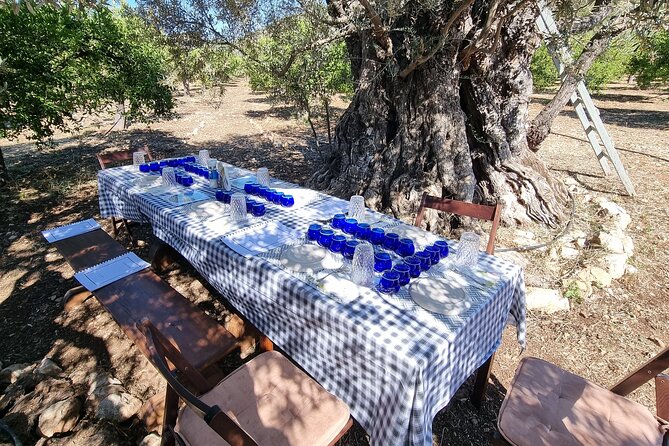 SYSTASIS Olive Oil Tasting Experience in Ermioni Greece - What makes the host important