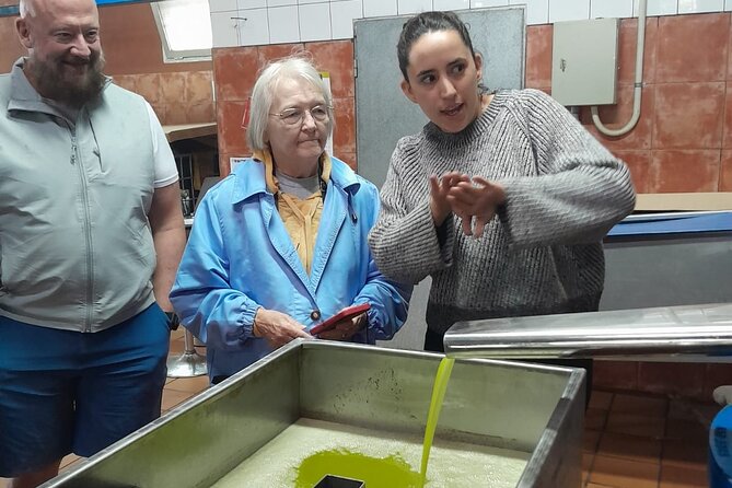 Tarragona Culinary Experience: Olive Oil & Iberian Ham Delight - Pickup from Barcelona, Sitges, or Tarragona