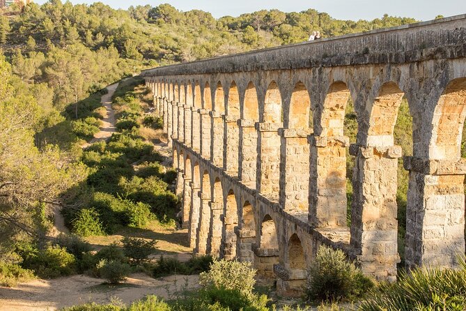 Tarragona Culinary Experience: Olive Oil & Iberian Ham Delight - What the $228.30 price really covers
