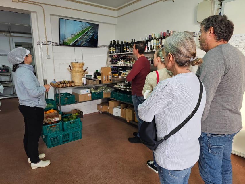 Tavira City & Olive Factory - Booking details that matter