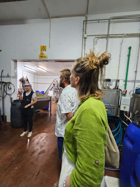 Tavira City & Olive Factory - What the tasting adds to the experience