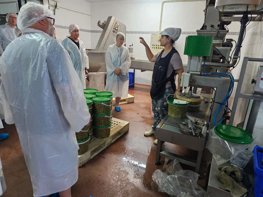 Tavira City & Olive Factory - Is $91 a fair price for two hours?