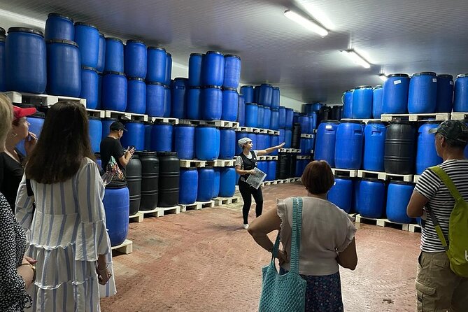 Tavira Olive Experience Factory Tour and Tasting - When the machines are running, and when they are not