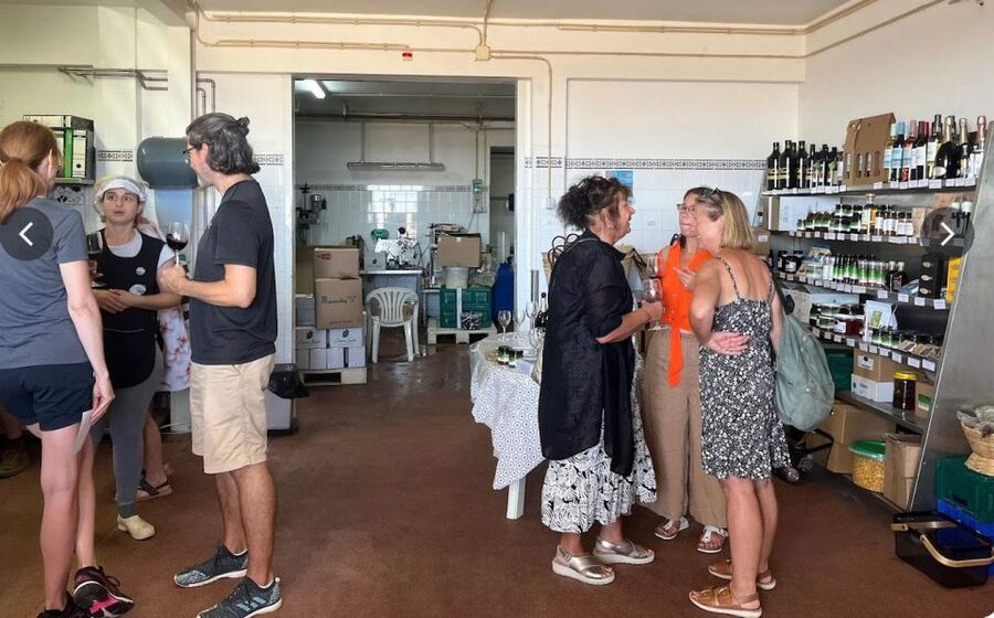 Tavira: Olive Factory Tour and Tasting - The tasting is the main event