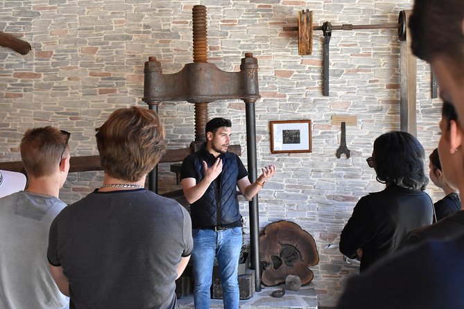 The Governor's Olive Mill Tour with Olive Oil Tasting - Why an olive mill makes sense in Corfu