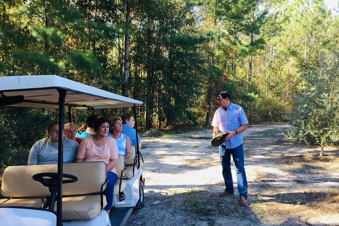 The Olive Grove Tour - Key points at a glance