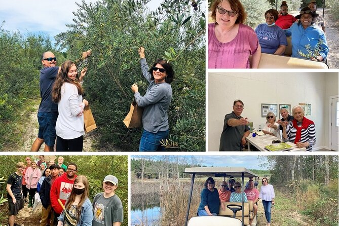 The Olive Grove Tour - Tasting oils and balsamic reductions