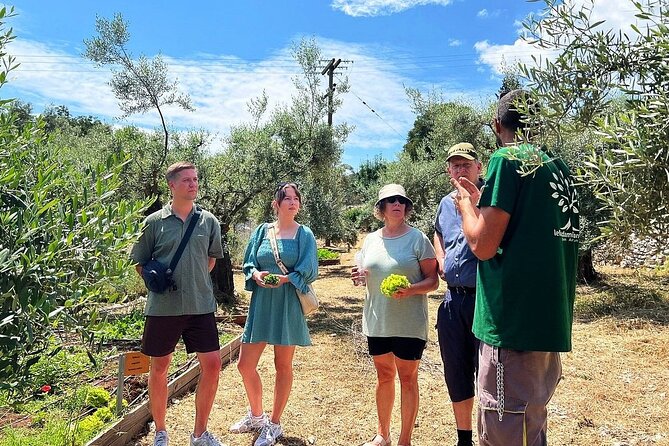 The Olive Oil Experience @ Lefkada Micro Farm - Tasting the difference between supermarket oil and real Extra Virgin